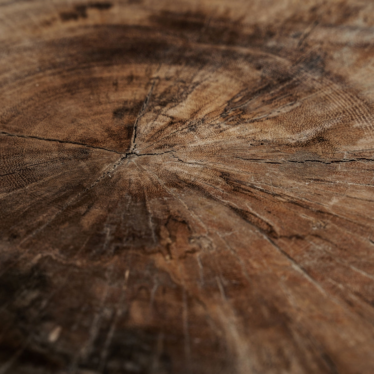 Table basse en bois de suar | VICAL Doucen - Image 5